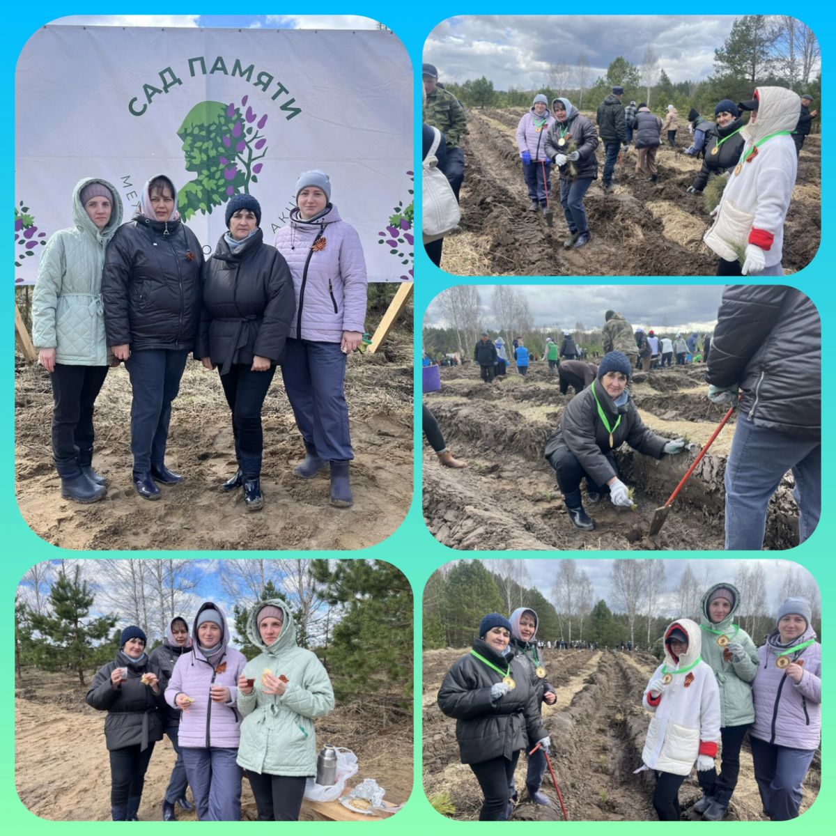 Сотрудники учреждения приняли участие во Всероссийской патриотической акции &laquo;Сад Памяти&raquo;